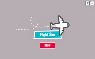 Image Flight Sim Pro